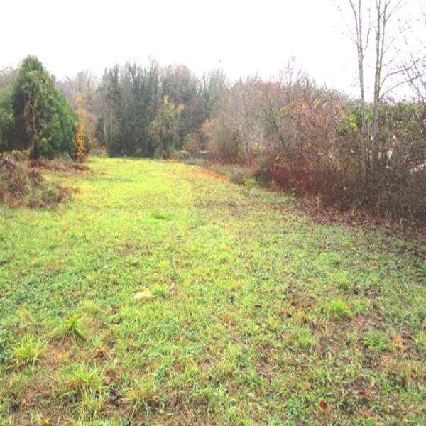 Offres de vente Terrain Maule 78580