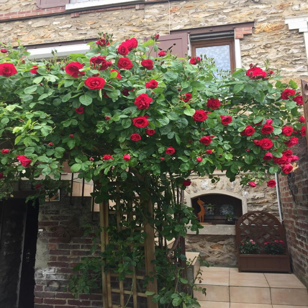 Offres de vente Maison Maule 78580